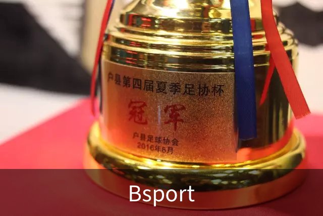 Bsport公司简介图片